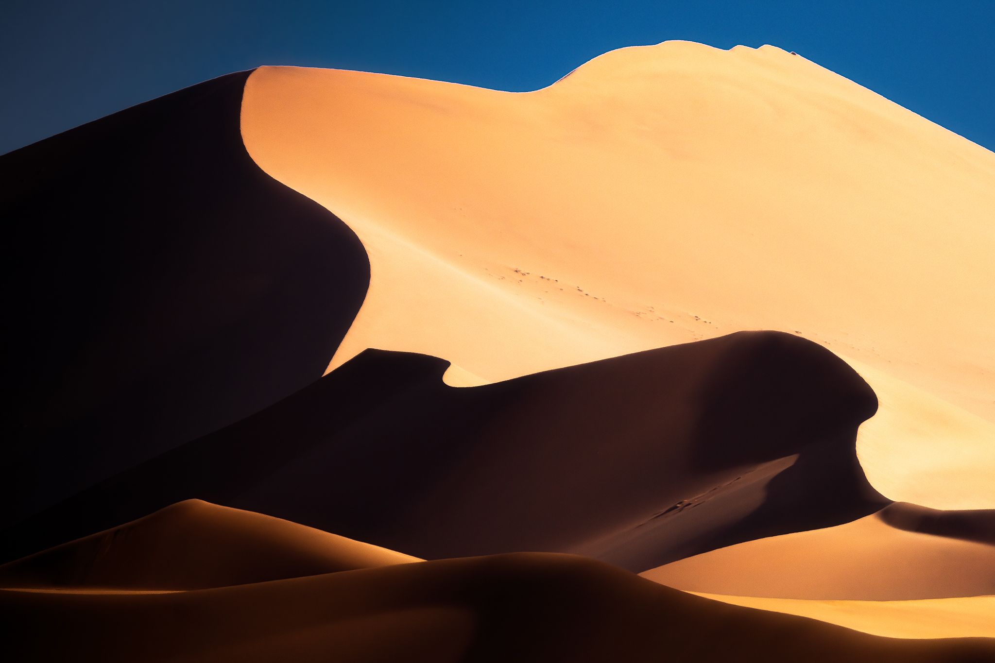 Explore